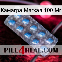 Камагра Мягкая 100 Мг viagra3